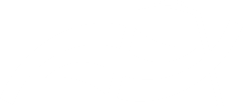 Fiobras